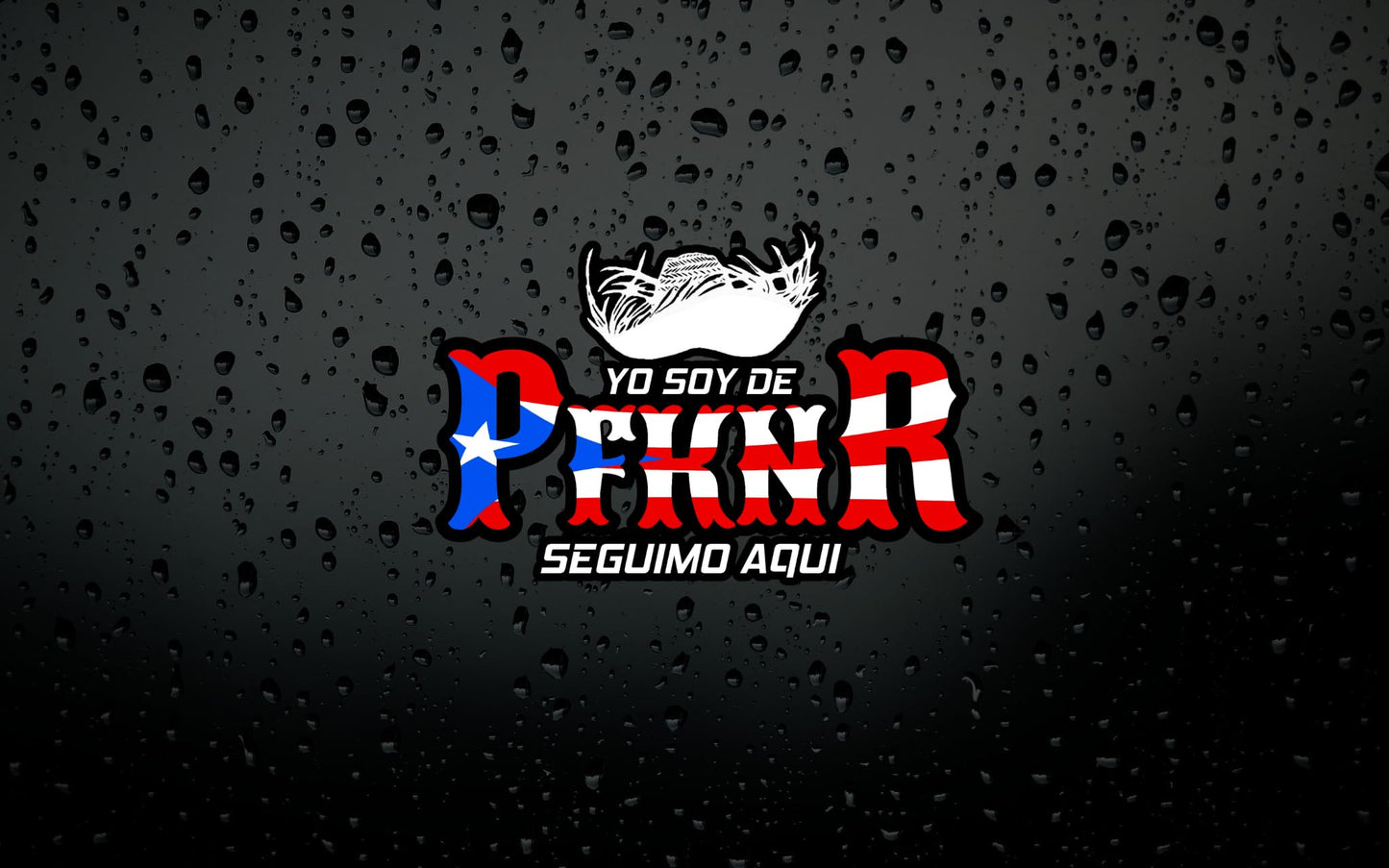 PFKNR Waterproof Sticker | Puerto Rican Pride | Sticker | Car Window | Laptop | Tumbler | PR Flag Blue and Red Design - Nostalgi Factory